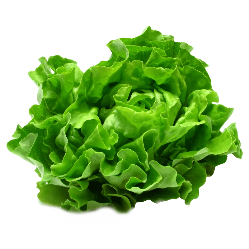 Supplément Salade